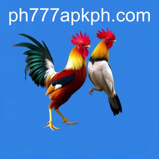 Exploring Online Sabong: The Rise of 'ph777 apk' in Digital Cockfighting